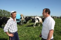 В сельском хозяйстве – пора большого молока