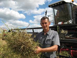 Филиал «Князево» – хозяйство, где добиваются стабильных урожаев